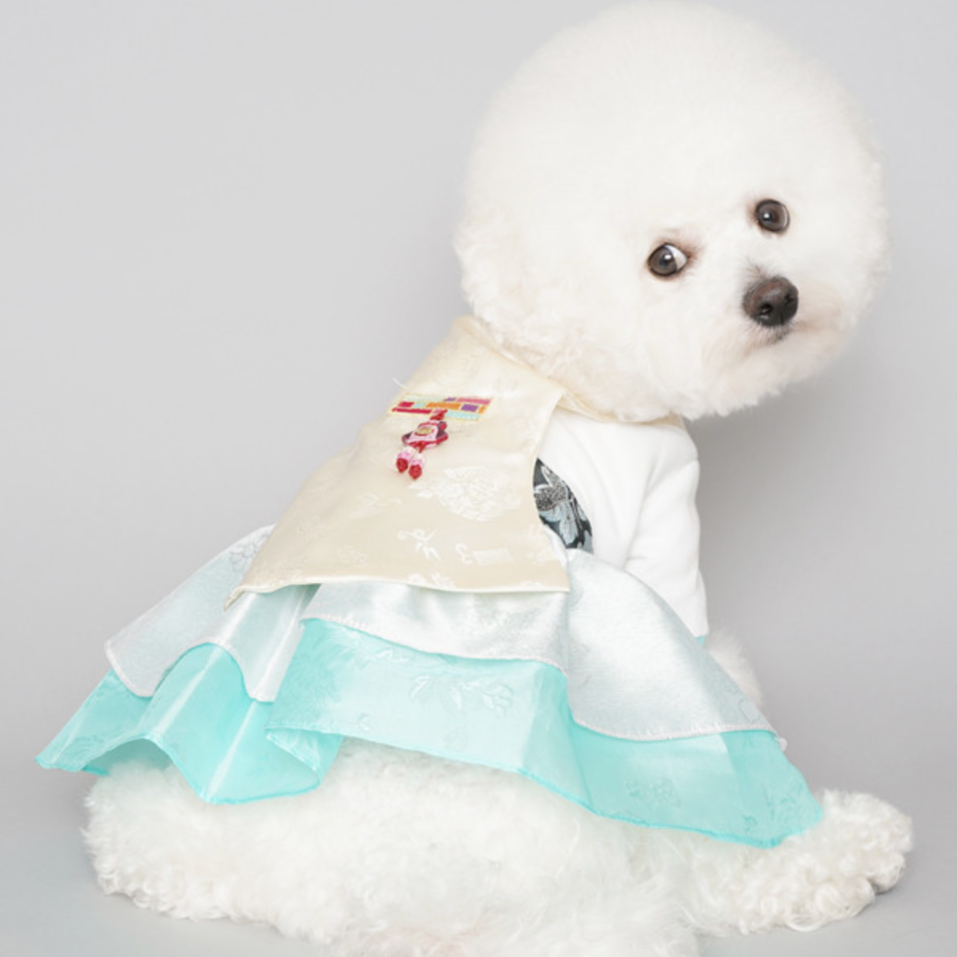 Dog hanbok hotsell