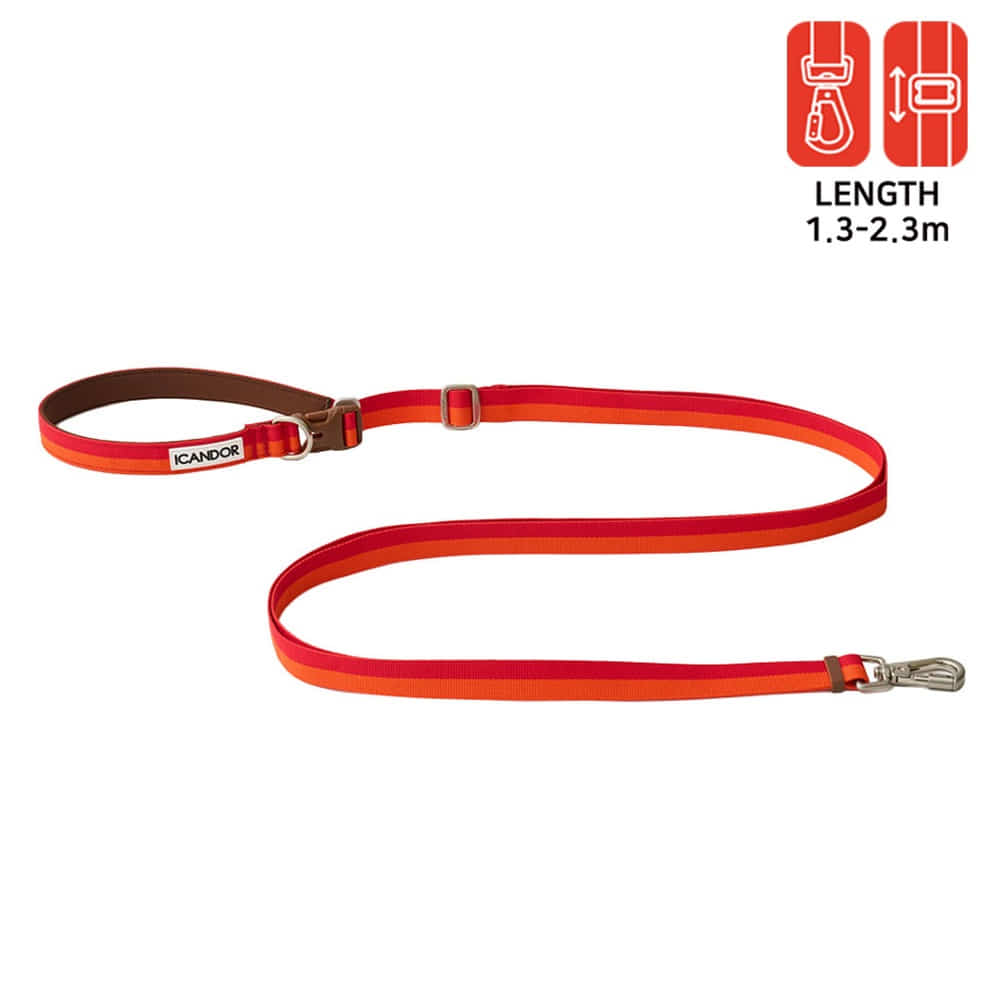 Gentle Leash Bolt, Long (Sunset)