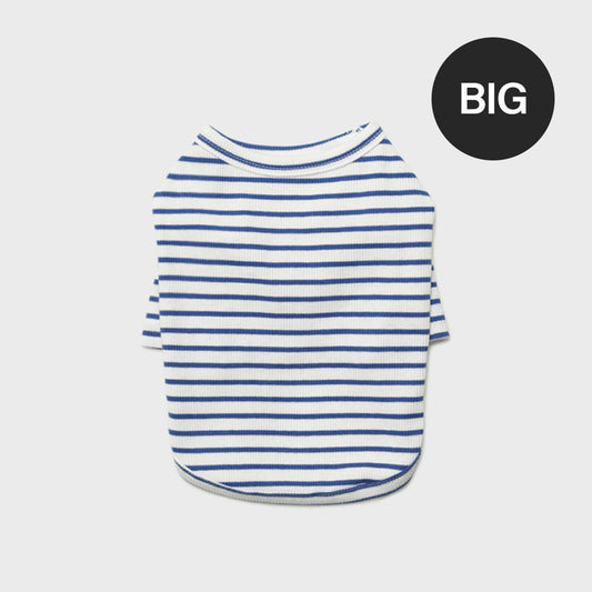 Big Stripe T-shirt (Blue)