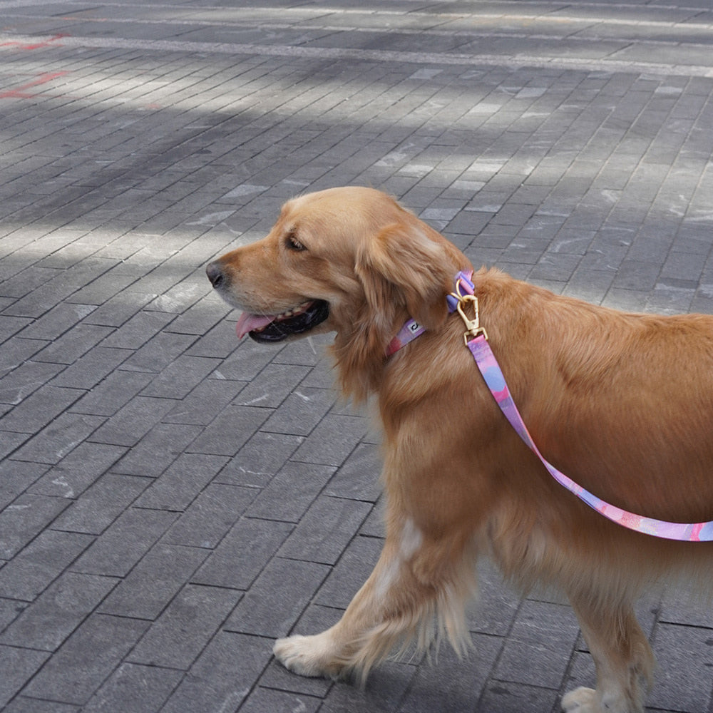 Gentle Collar Dual (Milky Way)