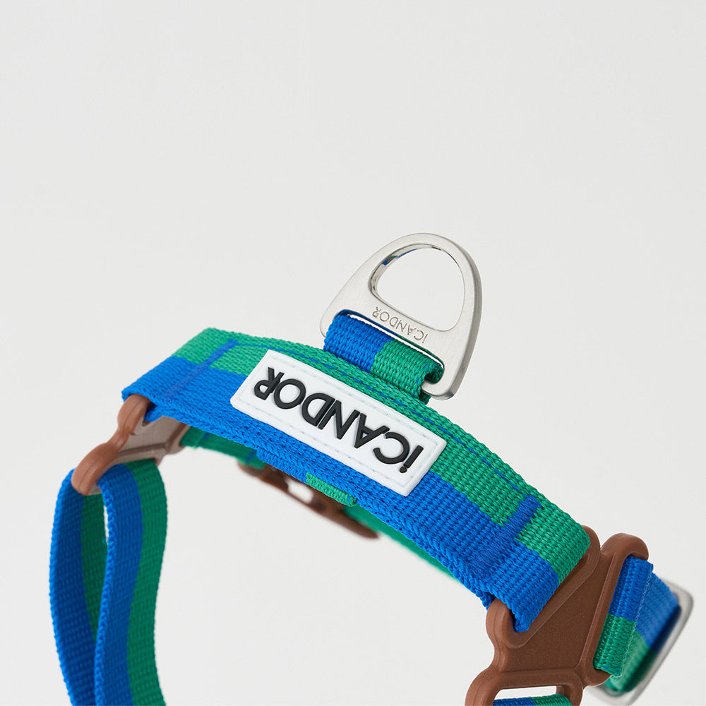 No-Pull Harness (Forest)