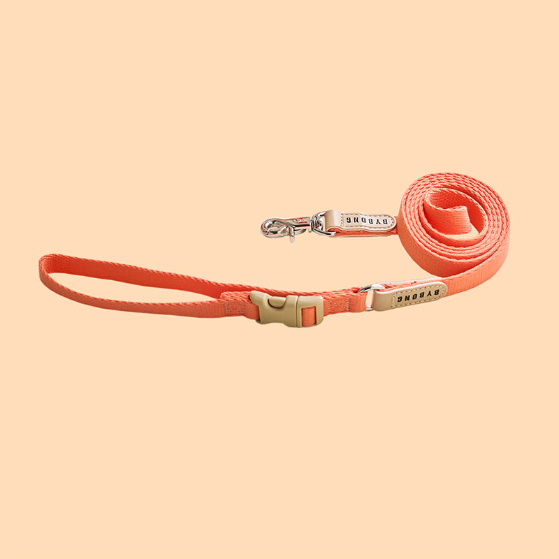 Light Bear 1.5M Leash (6 colors)