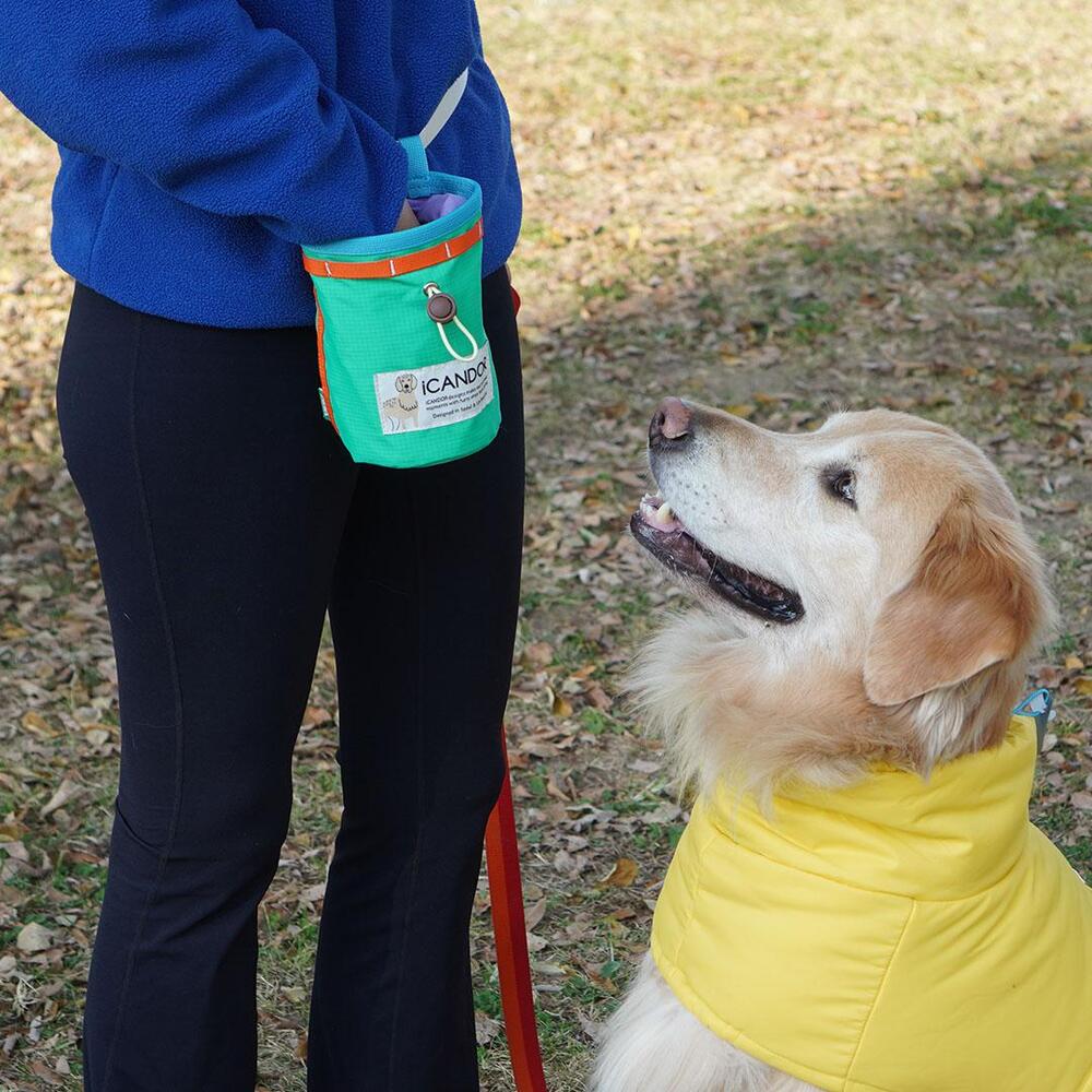 Munchie Minder Treat Bag (Green)