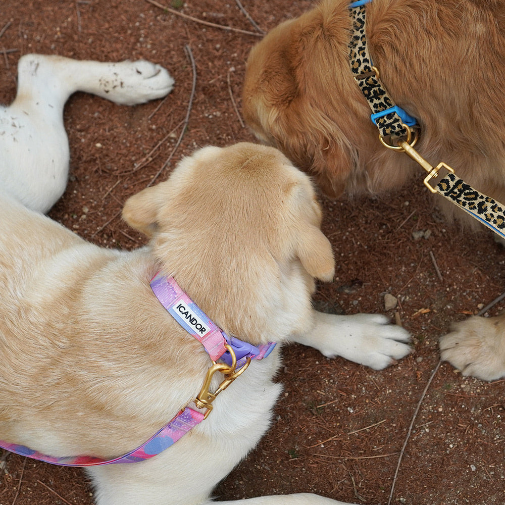 Gentle Collar Dual (Leopard)