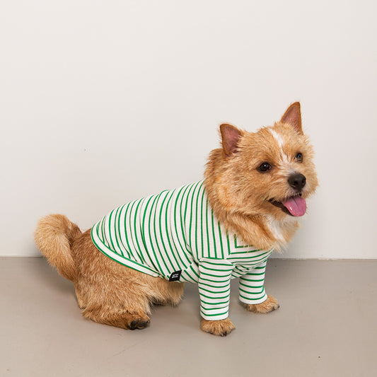 Striped T-Shirt Green Preorder