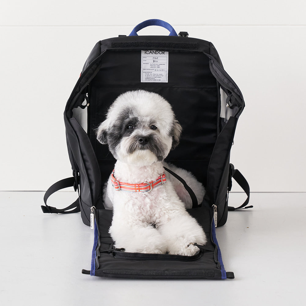 JIGE Backpack Pet Carrier (Dynamic Black)