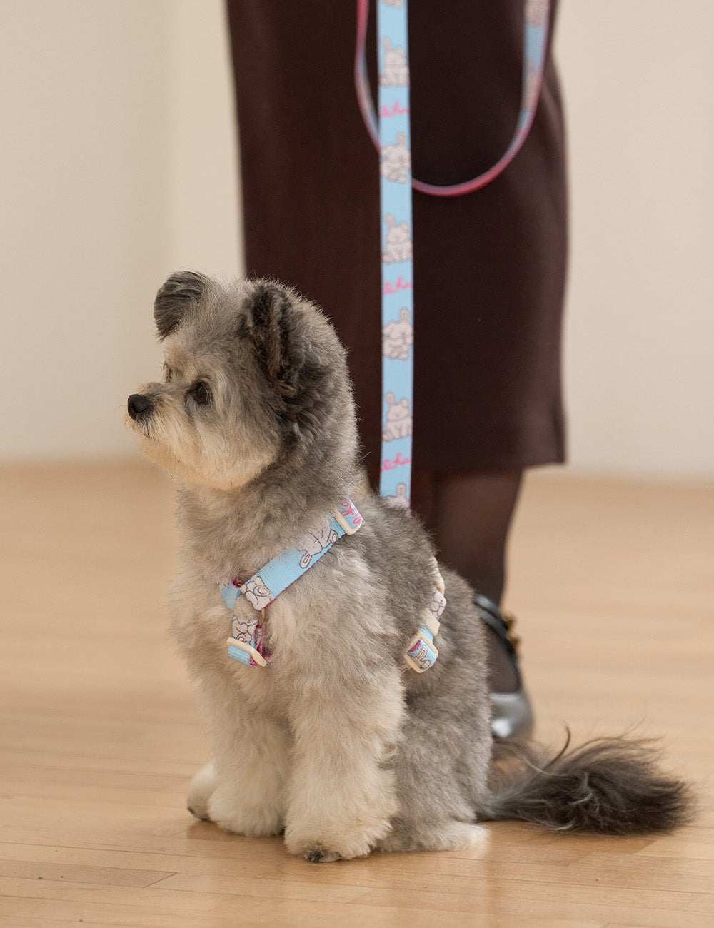 Cuddly Toy Leash (3 colors)