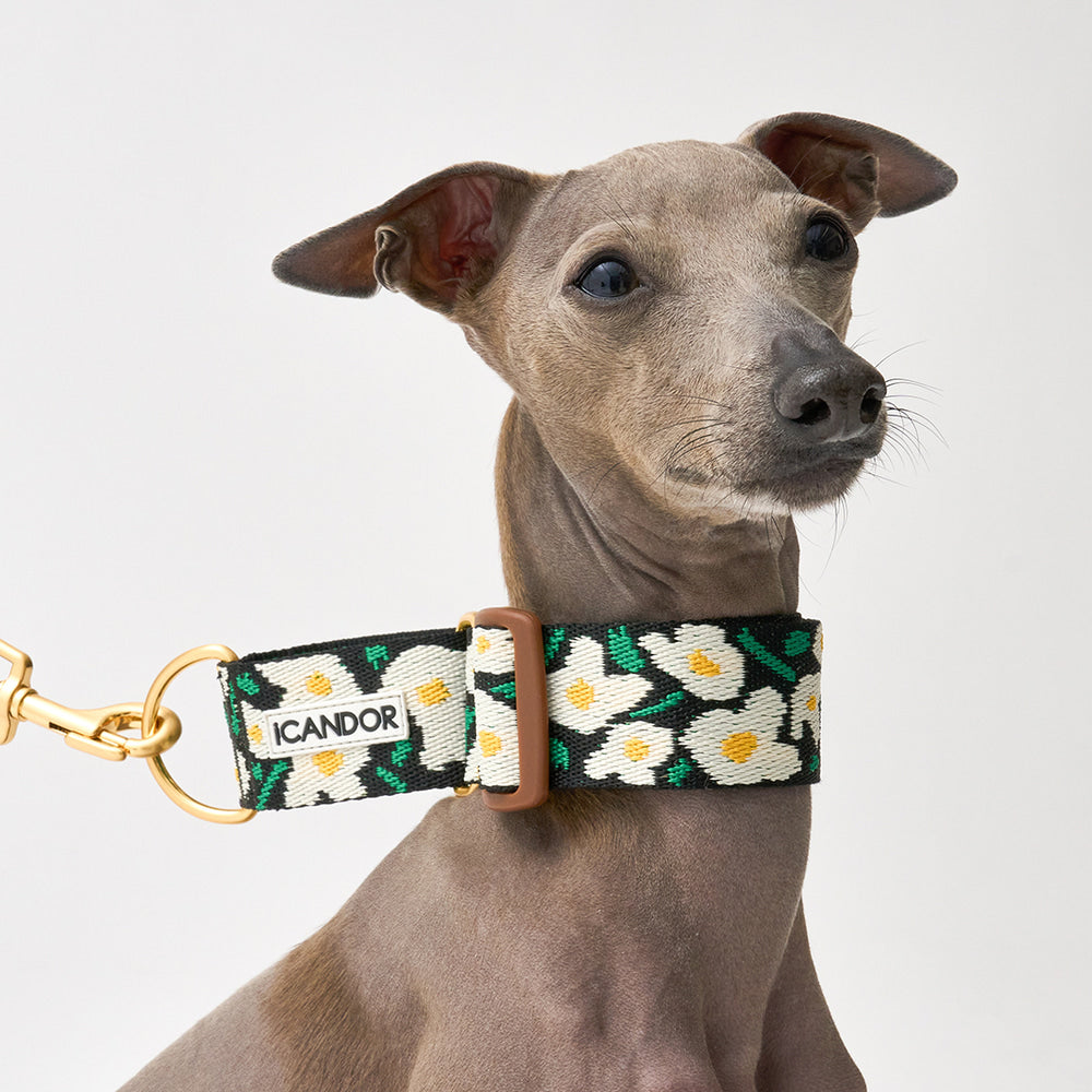 Smooth Martingale Collar 38mm (Big Fish)