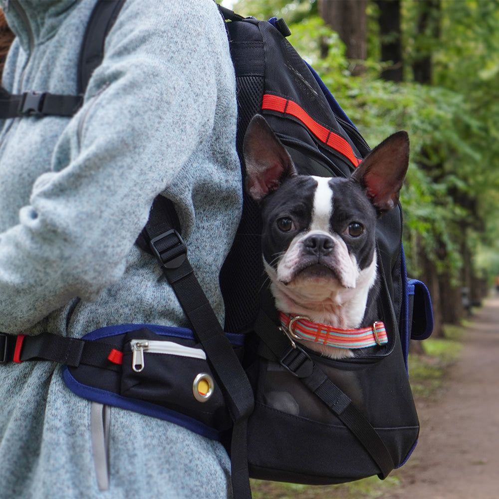 JIGE Backpack Pet Carrier (Dynamic Black)