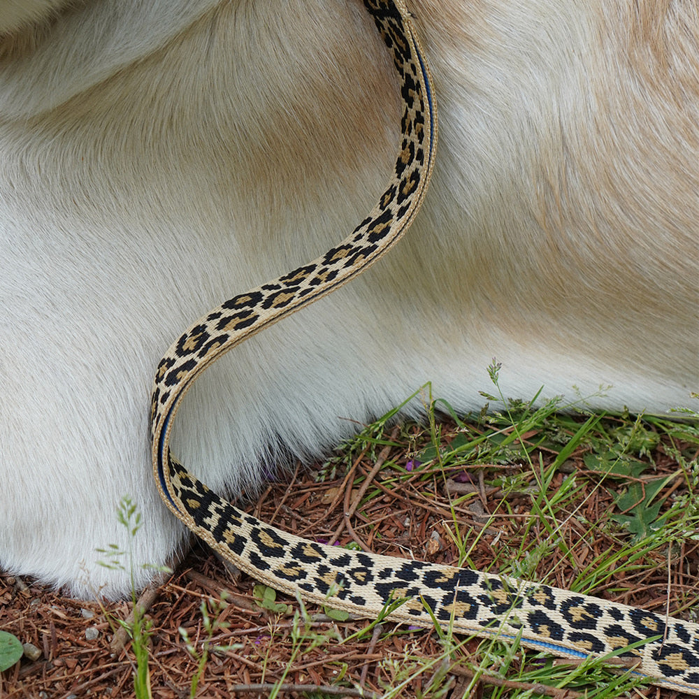 Gentle Collar Dual (Leopard)