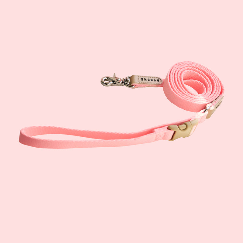 Light Bear 1.5M Leash (6 colors)