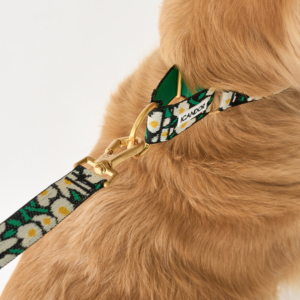 Smooth Martingale Collar 38mm (Big Fish)