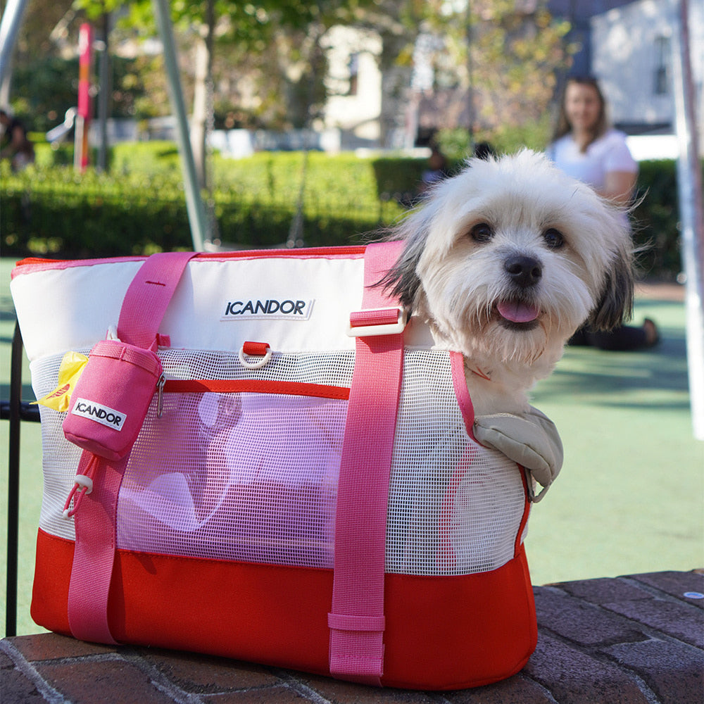 Brisbane Pet Carrier (Flamingo Pink)