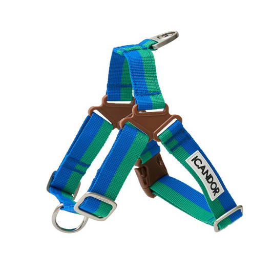 No-Pull Harness (Forest)