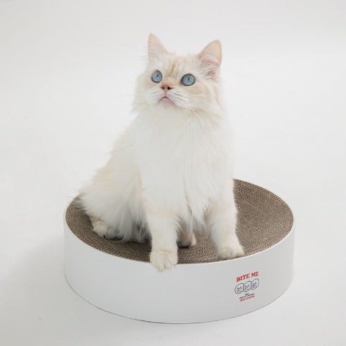 Cat Circle Scratcher