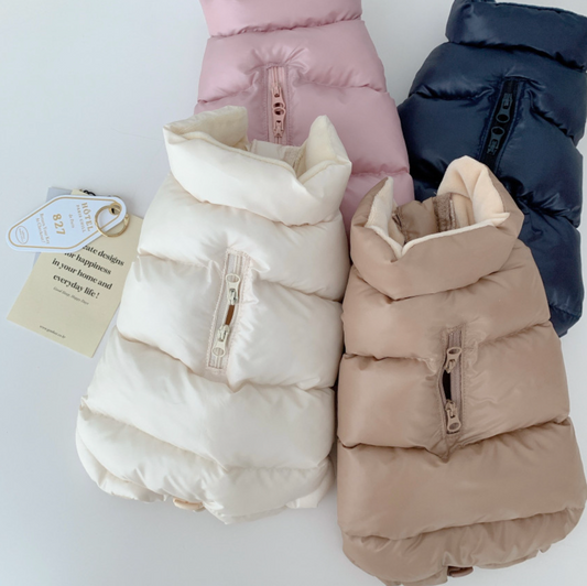 Shining Padded Jacket (4 colors)