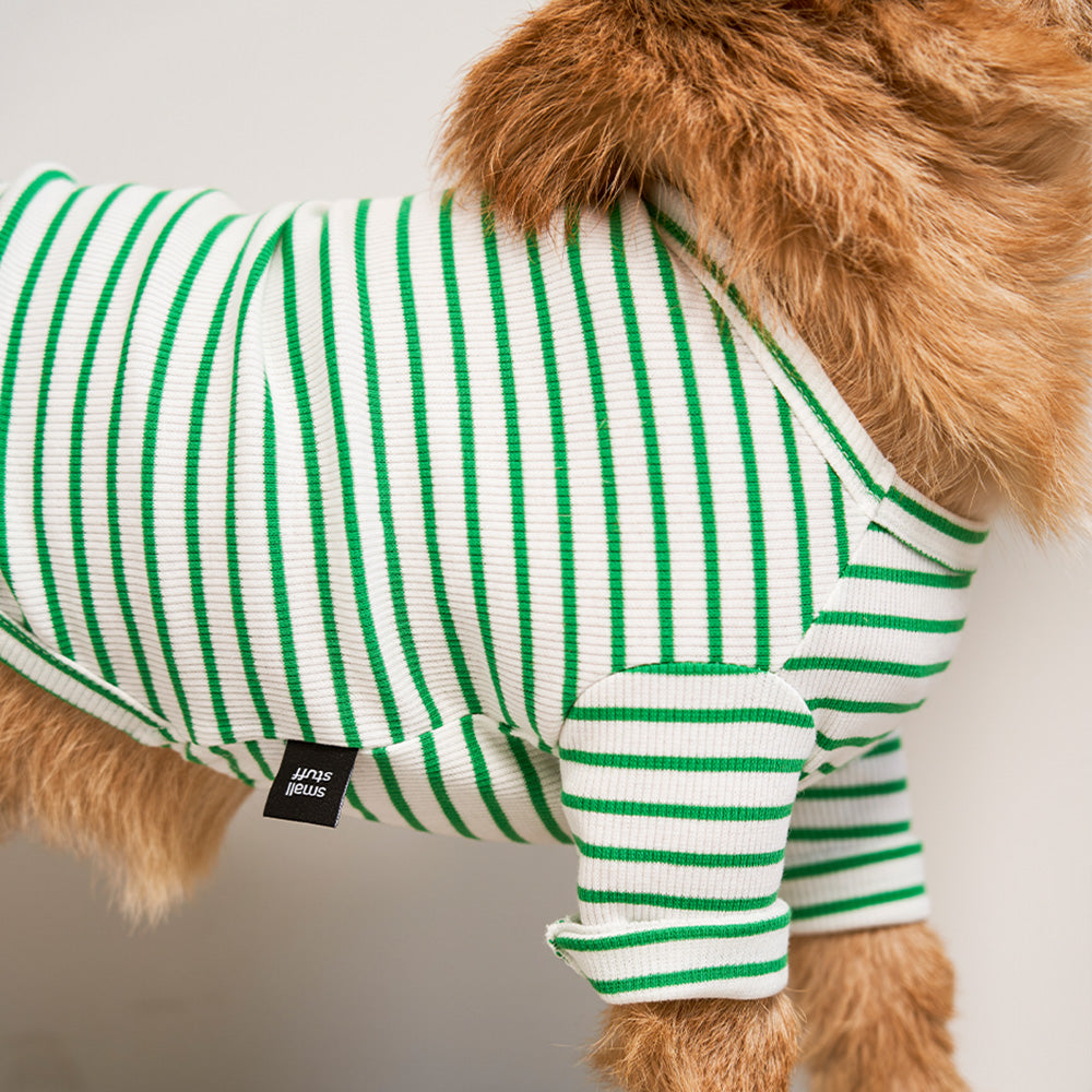 Striped T-Shirt Green Preorder