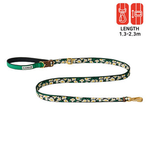 Gentle Leash Bolt, Long (Big Fish)