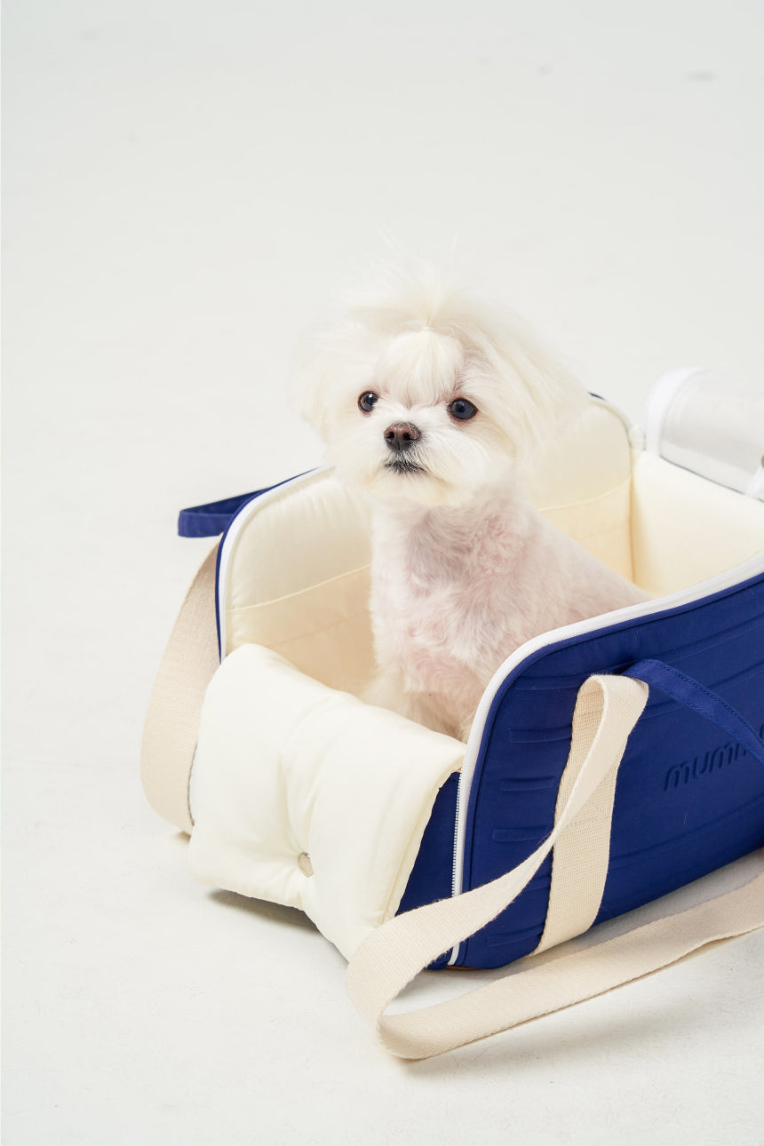 Carry Pet Carrier (3 Colors)