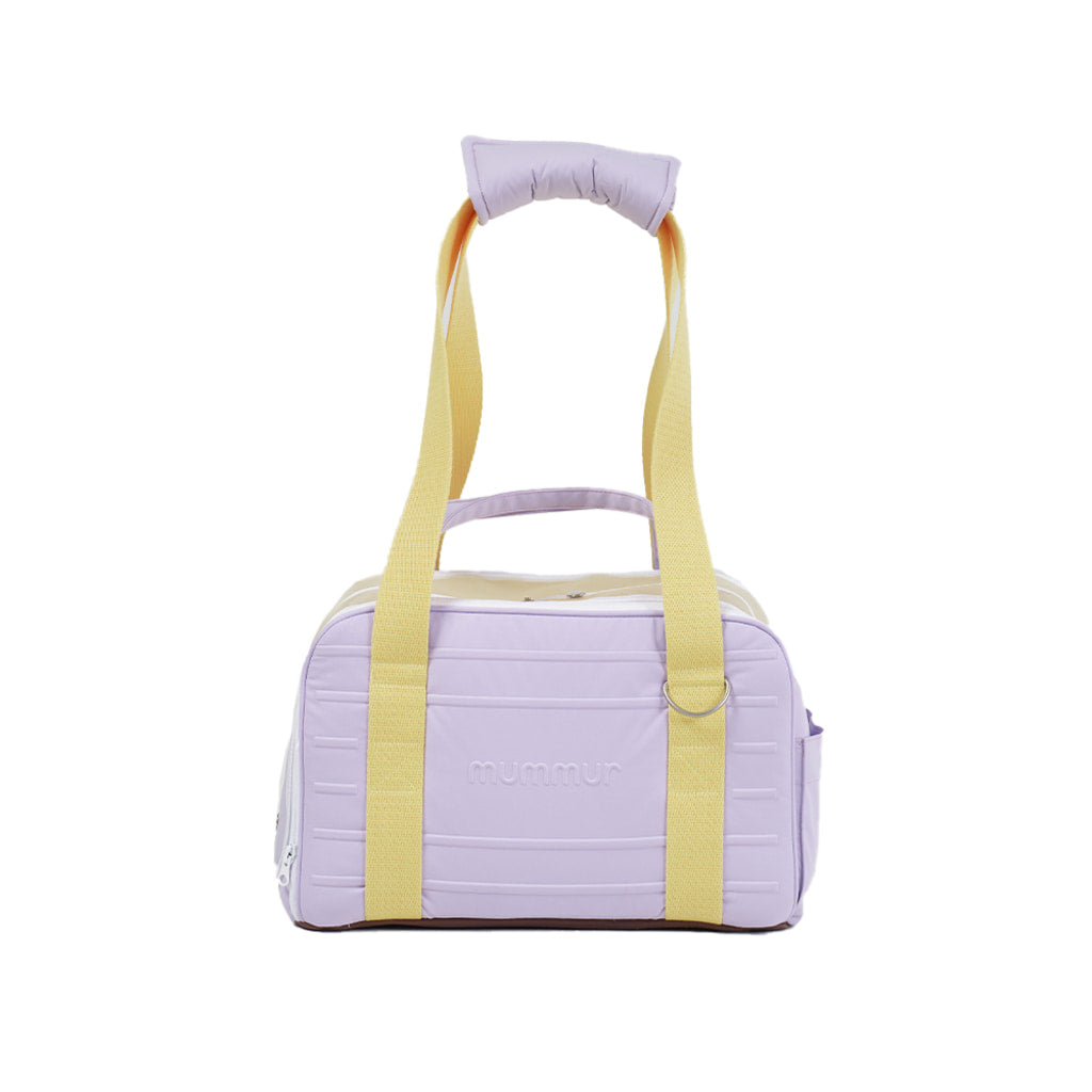 Carry Pet Carrier (3 Colors)