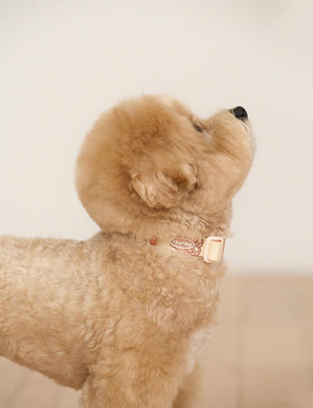 Cuddly Toy Collar (3 colors)