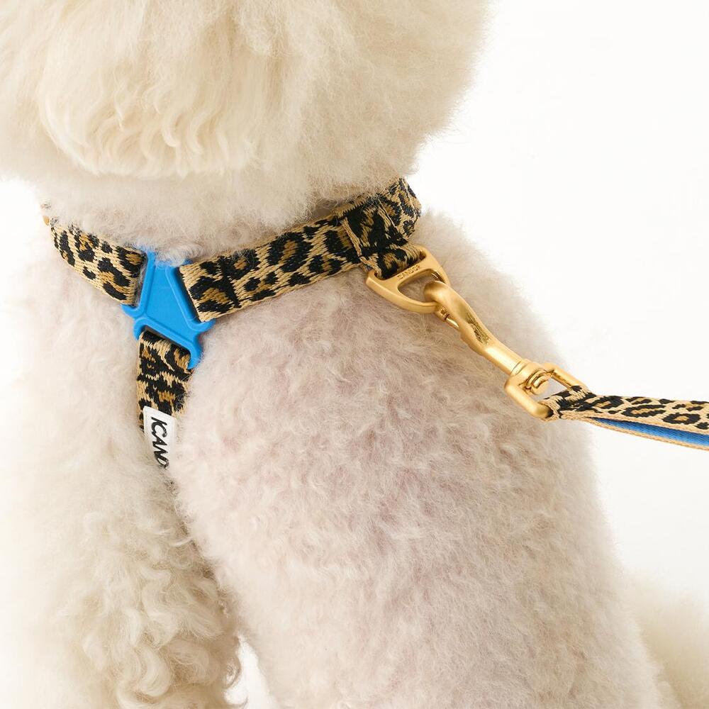 No-Pull Harness (Leopard)