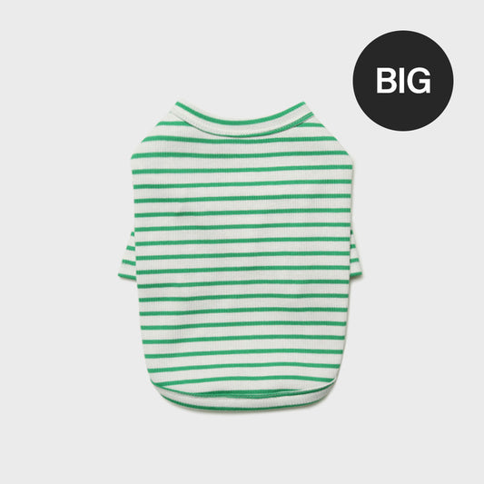 Big Stripe T-shirt (Green)