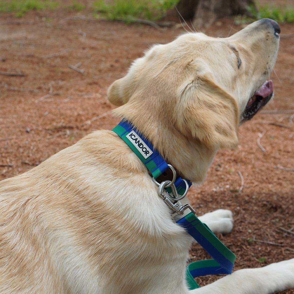 Gentle Collar Dual (Forest)