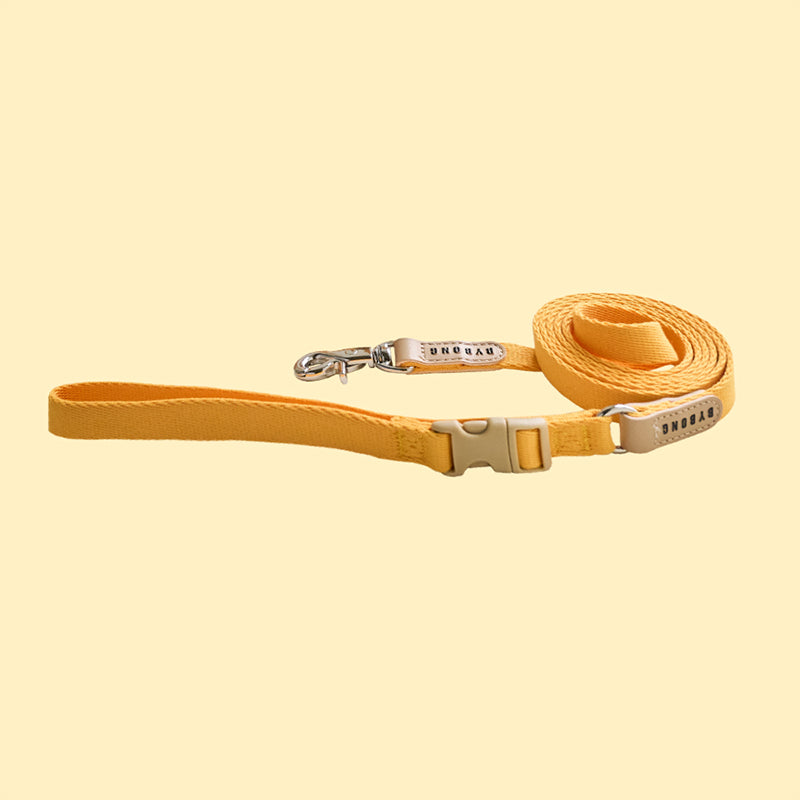 Light Bear 1.5M Leash (6 colors)