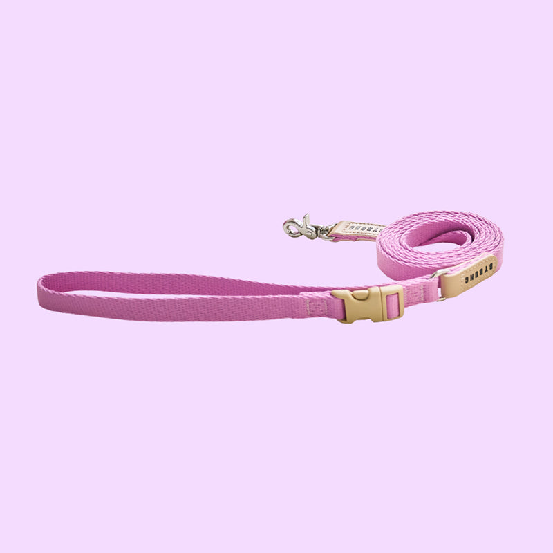 Light Bear 1.5M Leash (6 colors)