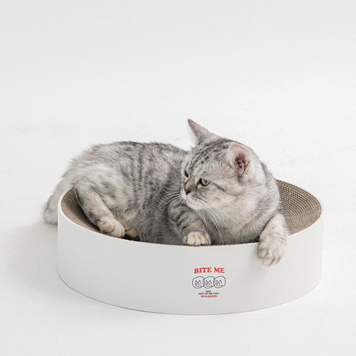 Cat Circle Scratcher