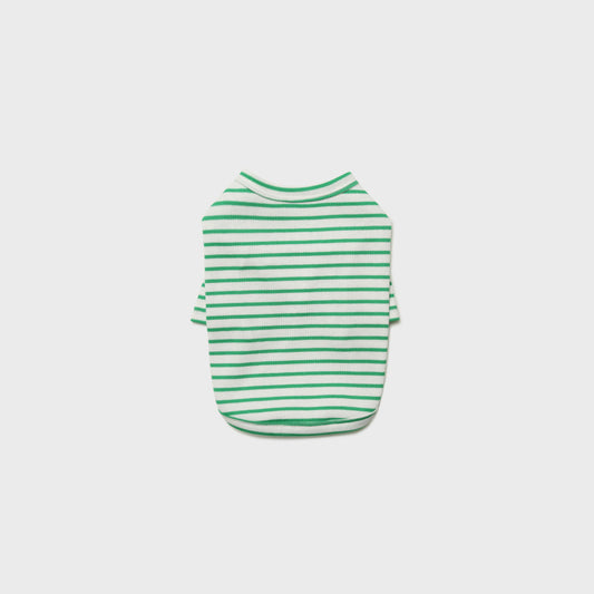 Striped T-Shirt Green Preorder