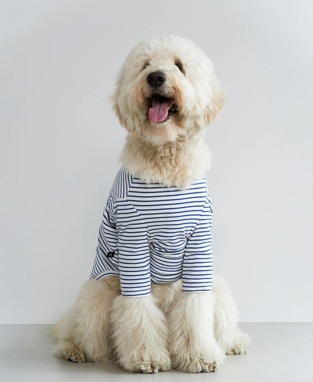 Big Stripe T-shirt (Blue)