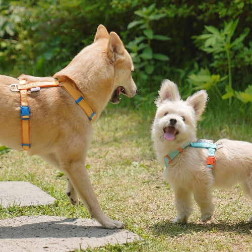 My Fluffy Fit Band Harness (4 colors)