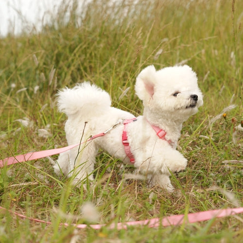 My Fluffy Fit Leash (5 colors)