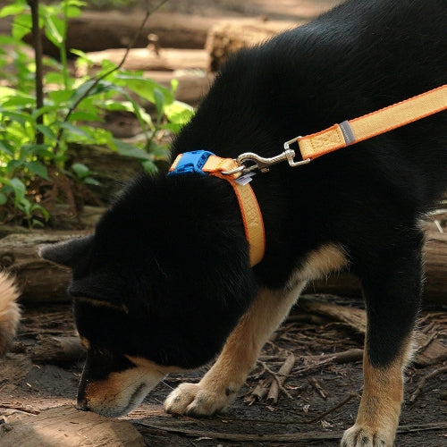 My Fluffy Fit Collar (4 colors)