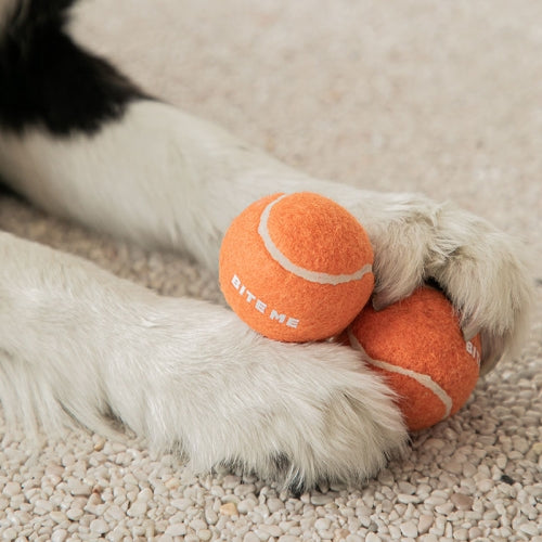 Mini Tennis Balls (3 pcs)