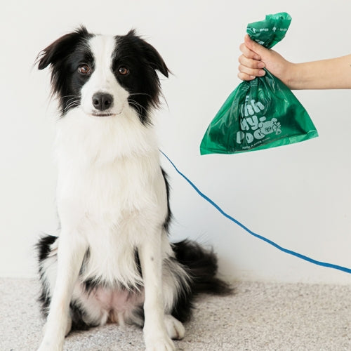 Oxo-Bio Degradable Plastics Poop Bags - Ohhh My Poo