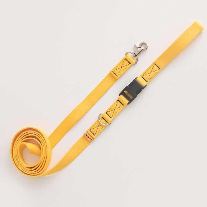 Candy Crayon Leash (6 colors)