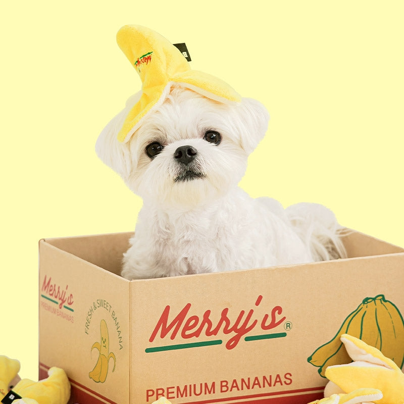 Merry's Banana Toy