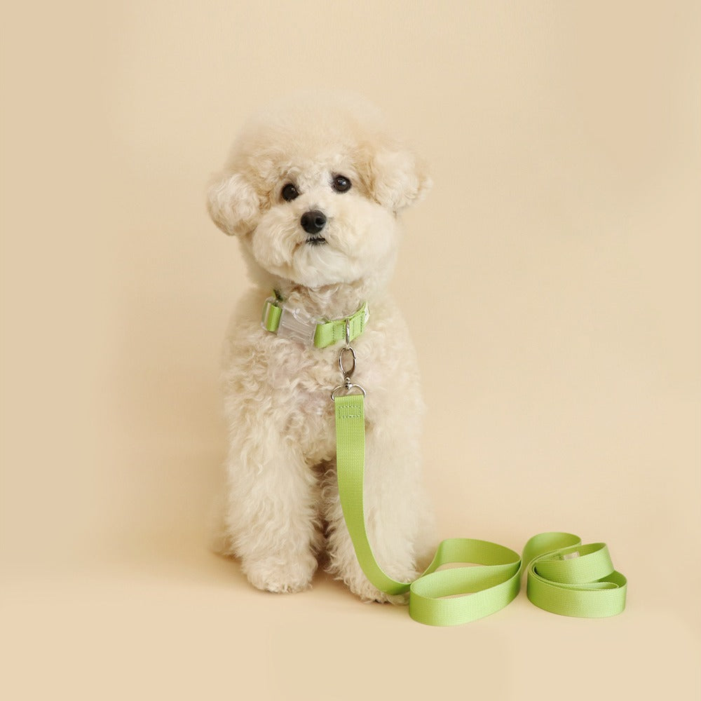 Makit Green Light Collar & Leash Set