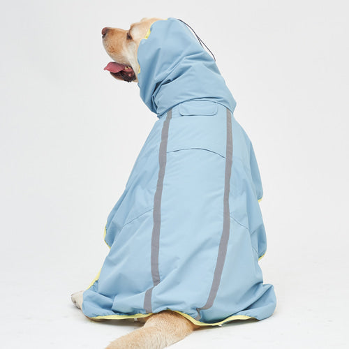 Blue Lemon Rain Coat (S-5L)