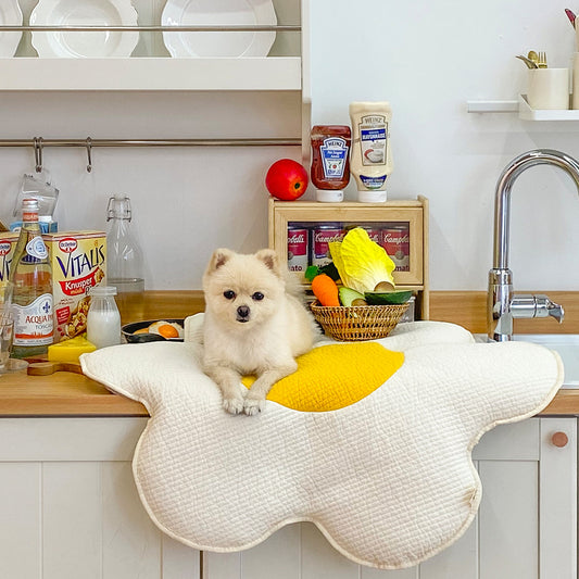 Fried Egg Cushion Mat