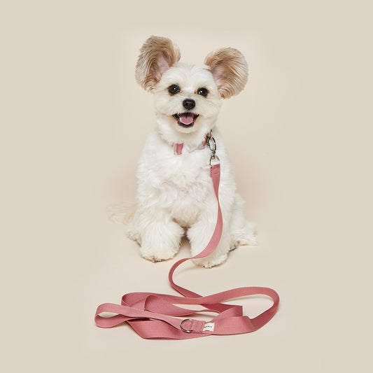 Makit Dry Rose Collar & Leash Set