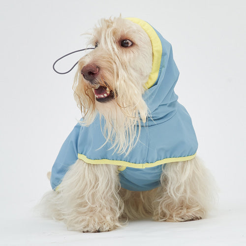 Blue Lemon Rain Coat (S-5L)