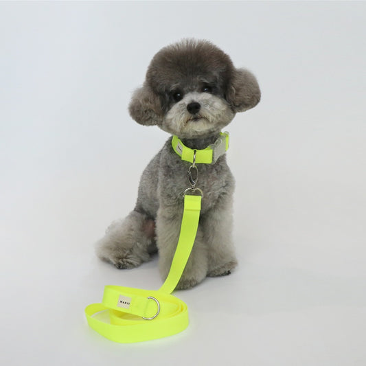 Makit Light Lemon Collar & Leash Set