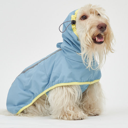 Blue Lemon Rain Coat (S-5L)