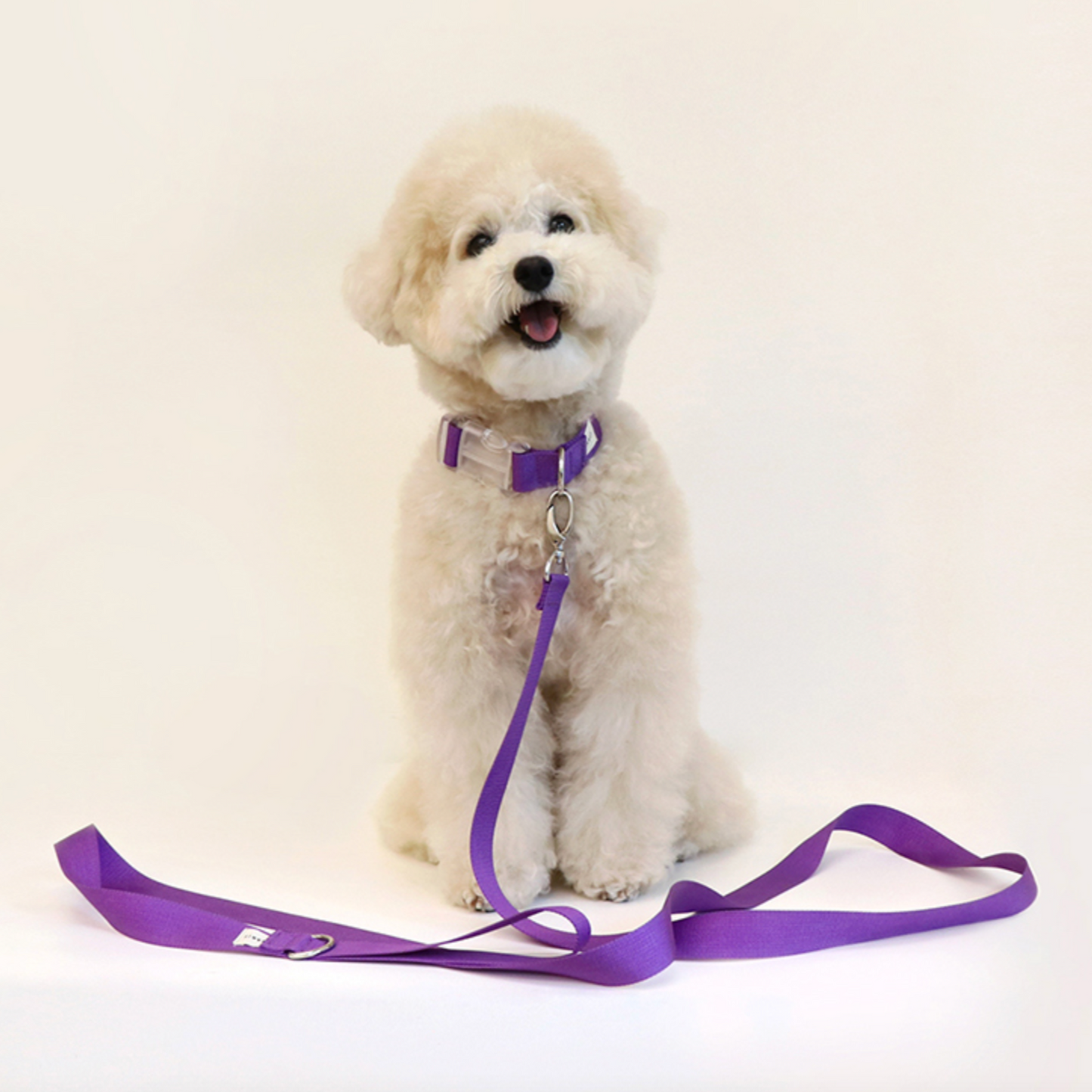 Makit Violet Collar & Leash Set