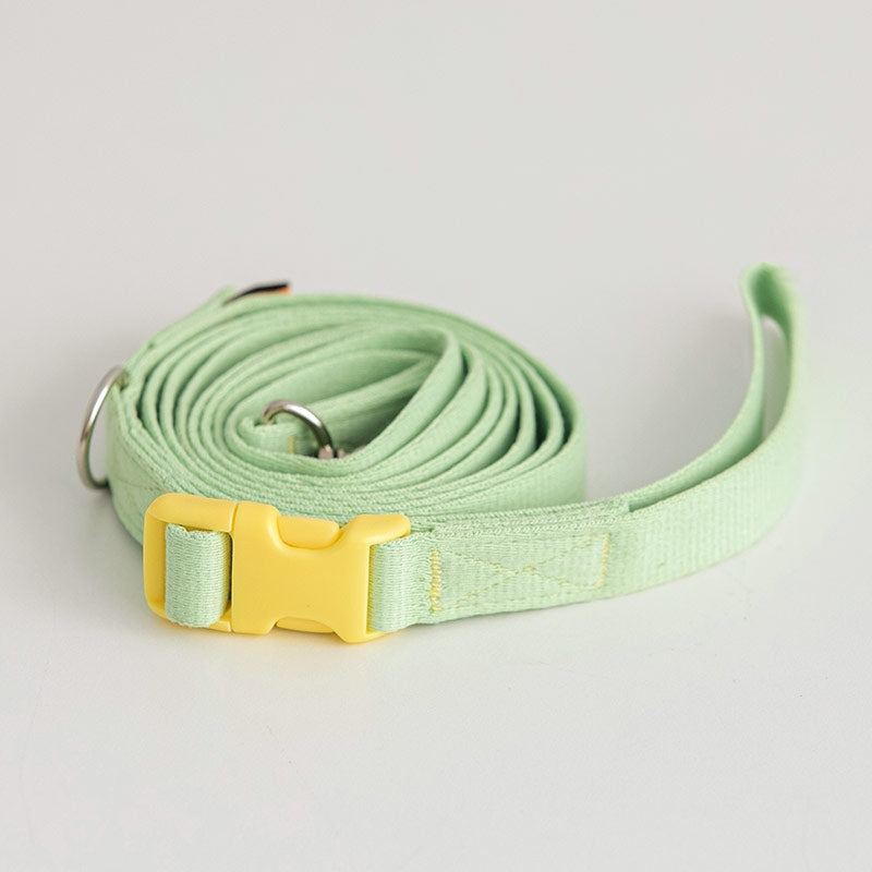 Candy Crayon Leash (6 colors)