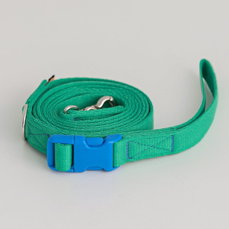 Candy Crayon Leash (6 colors)